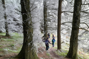Longmynd