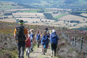 Longmynd