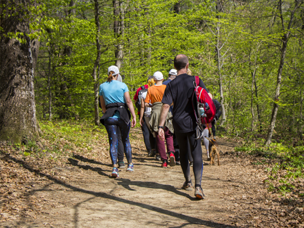 Picture of a group of people walking