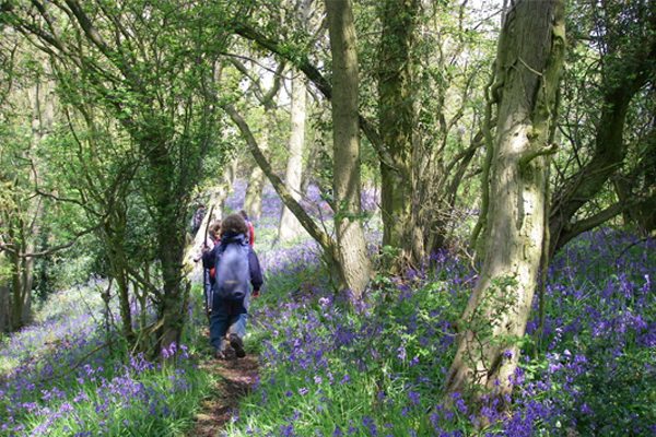 Image of a walk