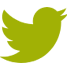 Twitter icon